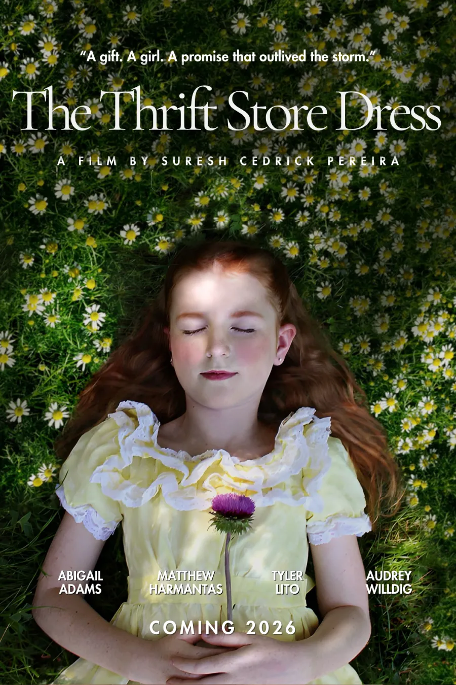 The Thrift Store Dress — poster